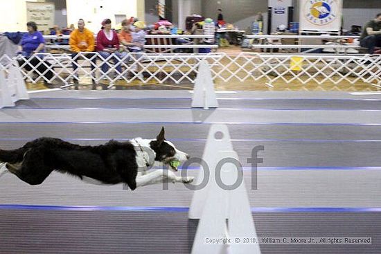 MCRD Unplugged Flyball Tournement<br />March 20th, 2010