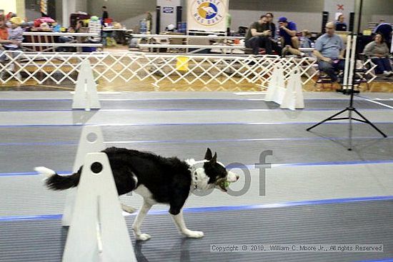 MCRD Unplugged Flyball Tournement<br />March 20th, 2010