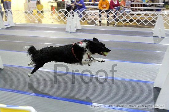 MCRD Unplugged Flyball Tournement<br />March 20th, 2010