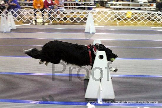 MCRD Unplugged Flyball Tournement<br />March 20th, 2010