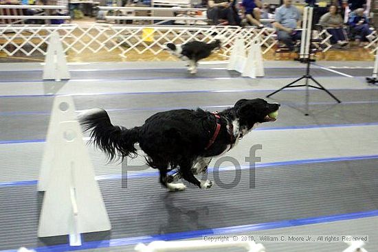 MCRD Unplugged Flyball Tournement<br />March 20th, 2010