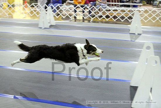 MCRD Unplugged Flyball Tournement<br />March 20th, 2010