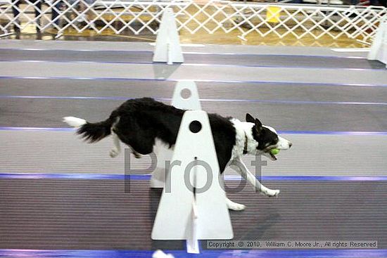 MCRD Unplugged Flyball Tournement<br />March 20th, 2010