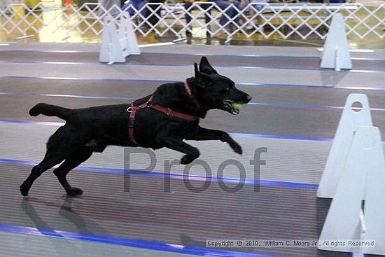 MCRD Unplugged Flyball Tournement<br />March 20th, 2010