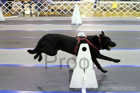 MCRD Unplugged Flyball Tournement<br />March 20th, 2010