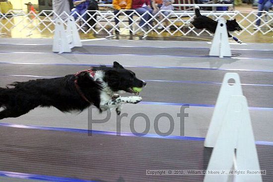 MCRD Unplugged Flyball Tournement<br />March 20th, 2010