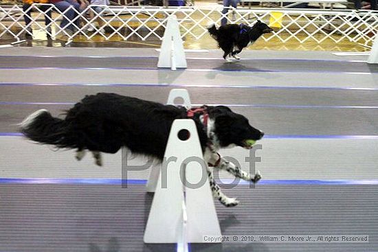 MCRD Unplugged Flyball Tournement<br />March 20th, 2010