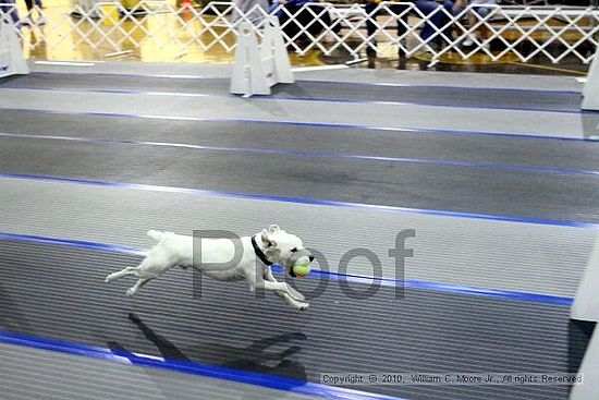 MCRD Unplugged Flyball Tournement<br />March 20th, 2010