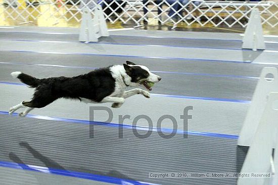 MCRD Unplugged Flyball Tournement<br />March 20th, 2010