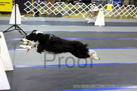 MCRD Unplugged Flyball Tournement<br />March 20th, 2010