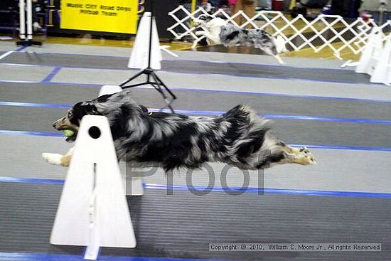 MCRD Unplugged Flyball Tournement<br />March 20th, 2010