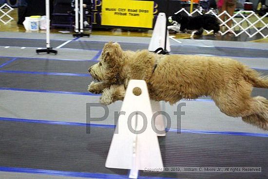 MCRD Unplugged Flyball Tournement<br />March 20th, 2010