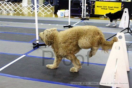 MCRD Unplugged Flyball Tournement<br />March 20th, 2010