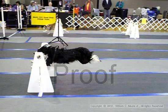 MCRD Unplugged Flyball Tournement<br />March 20th, 2010