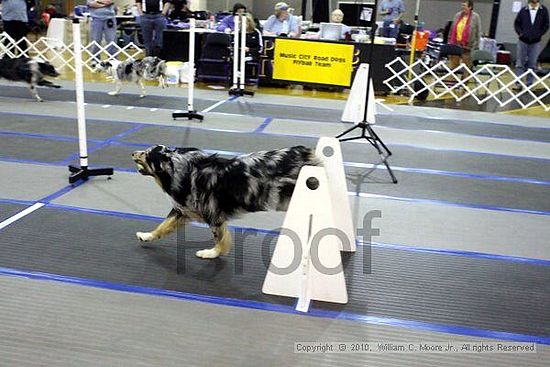 MCRD Unplugged Flyball Tournement<br />March 20th, 2010