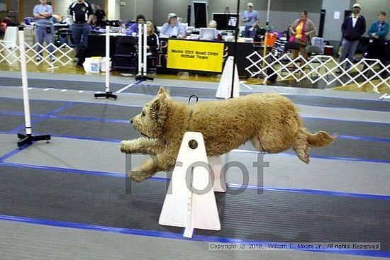 MCRD Unplugged Flyball Tournement<br />March 20th, 2010