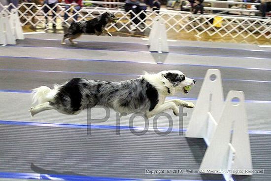 MCRD Unplugged Flyball Tournement<br />March 20th, 2010