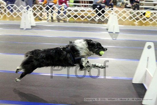 MCRD Unplugged Flyball Tournement<br />March 20th, 2010