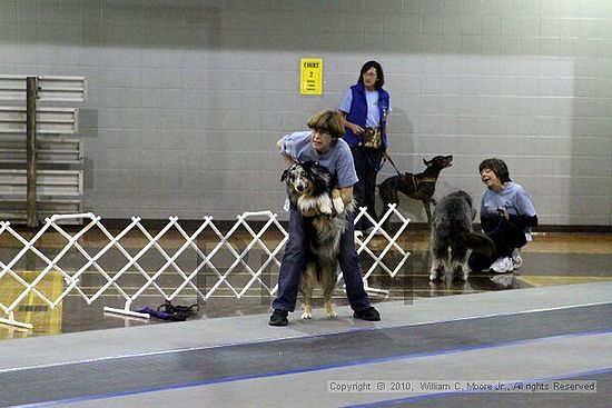 MCRD Unplugged Flyball Tournement<br />March 20th, 2010