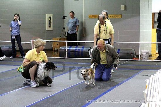 MCRD Unplugged Flyball Tournement<br />March 20th, 2010