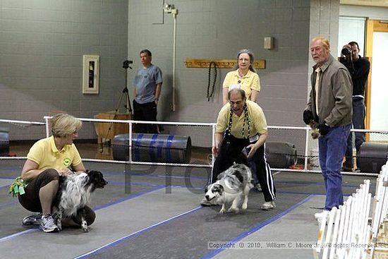 MCRD Unplugged Flyball Tournement<br />March 20th, 2010