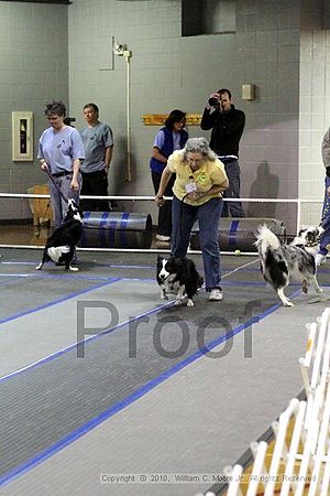 MCRD Unplugged Flyball Tournement<br />March 20th, 2010