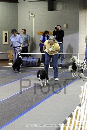 MCRD Unplugged Flyball Tournement<br />March 20th, 2010