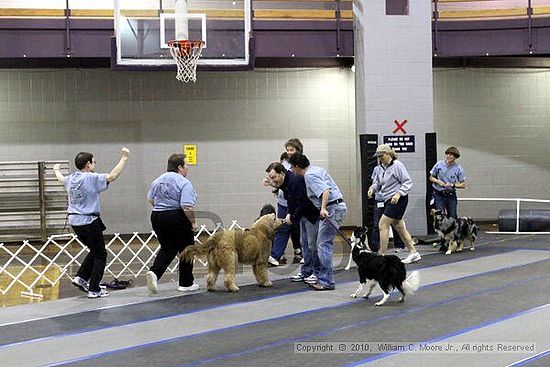 MCRD Unplugged Flyball Tournement<br />March 20th, 2010