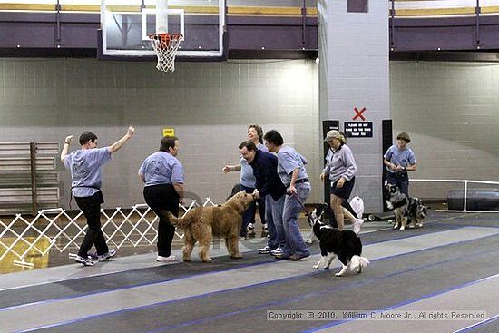 MCRD Unplugged Flyball Tournement<br />March 20th, 2010