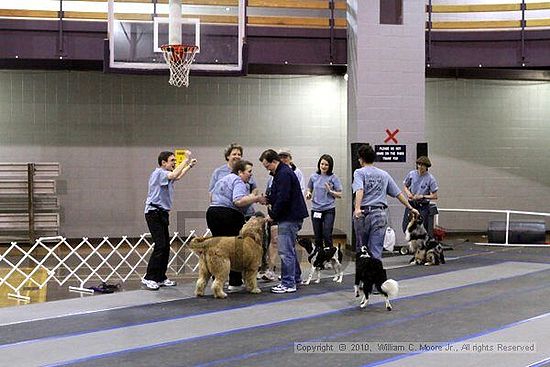 MCRD Unplugged Flyball Tournement<br />March 20th, 2010