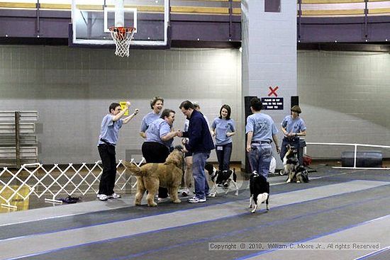 MCRD Unplugged Flyball Tournement<br />March 20th, 2010