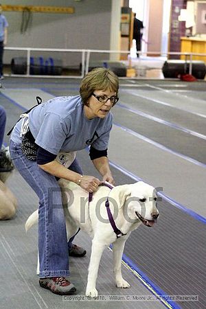 MCRD Unplugged Flyball Tournement<br />March 20th, 2010