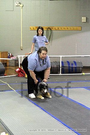 MCRD Unplugged Flyball Tournement<br />March 20th, 2010