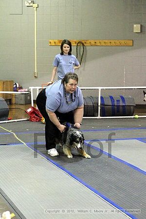 MCRD Unplugged Flyball Tournement<br />March 20th, 2010