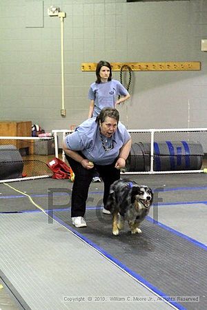 MCRD Unplugged Flyball Tournement<br />March 20th, 2010