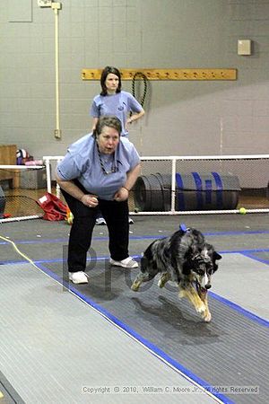 MCRD Unplugged Flyball Tournement<br />March 20th, 2010