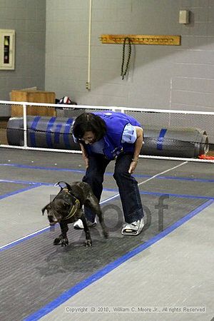 MCRD Unplugged Flyball Tournement<br />March 20th, 2010