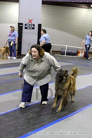 MCRD Unplugged Flyball Tournement<br />March 20th, 2010