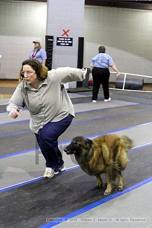 MCRD Unplugged Flyball Tournement<br />March 20th, 2010