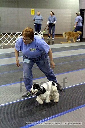 MCRD Unplugged Flyball Tournement<br />March 20th, 2010