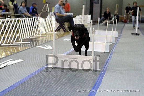 MCRD Unplugged Flyball Tournement<br />March 20th, 2010