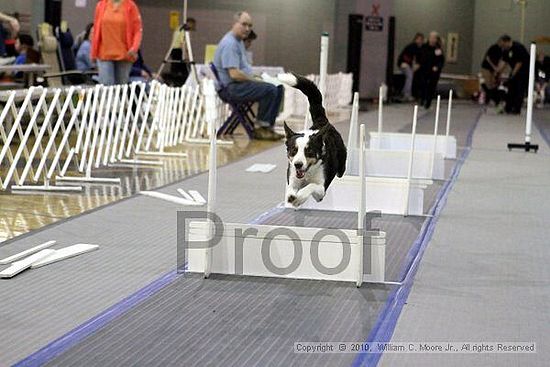 MCRD Unplugged Flyball Tournement<br />March 20th, 2010