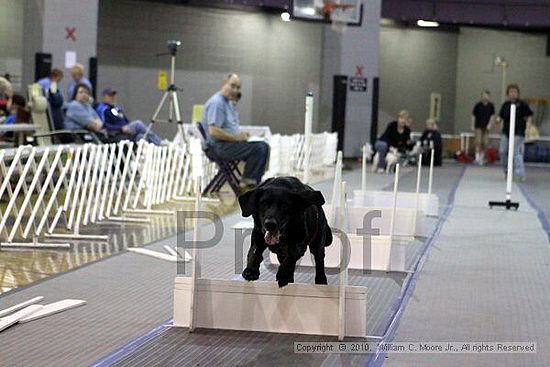 MCRD Unplugged Flyball Tournement<br />March 20th, 2010