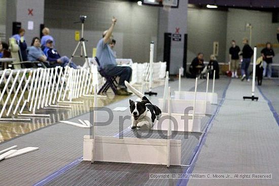 MCRD Unplugged Flyball Tournement<br />March 20th, 2010