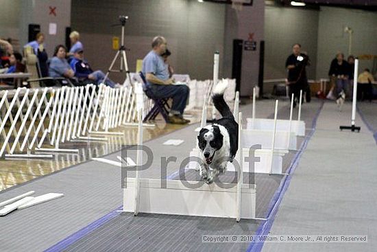 MCRD Unplugged Flyball Tournement<br />March 20th, 2010