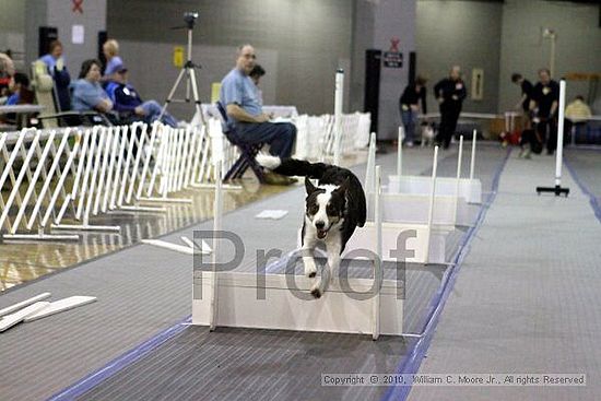 MCRD Unplugged Flyball Tournement<br />March 20th, 2010