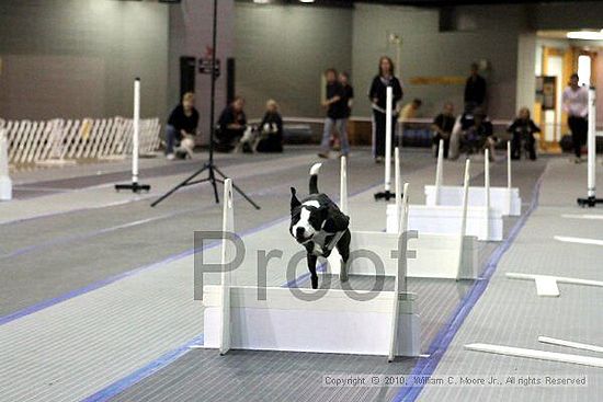 MCRD Unplugged Flyball Tournement<br />March 20th, 2010