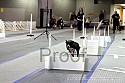 img_2248_thm.jpg