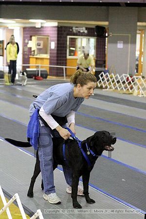 MCRD Unplugged Flyball Tournement<br />March 20th, 2010