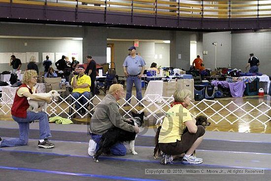 MCRD Unplugged Flyball Tournement<br />March 20th, 2010